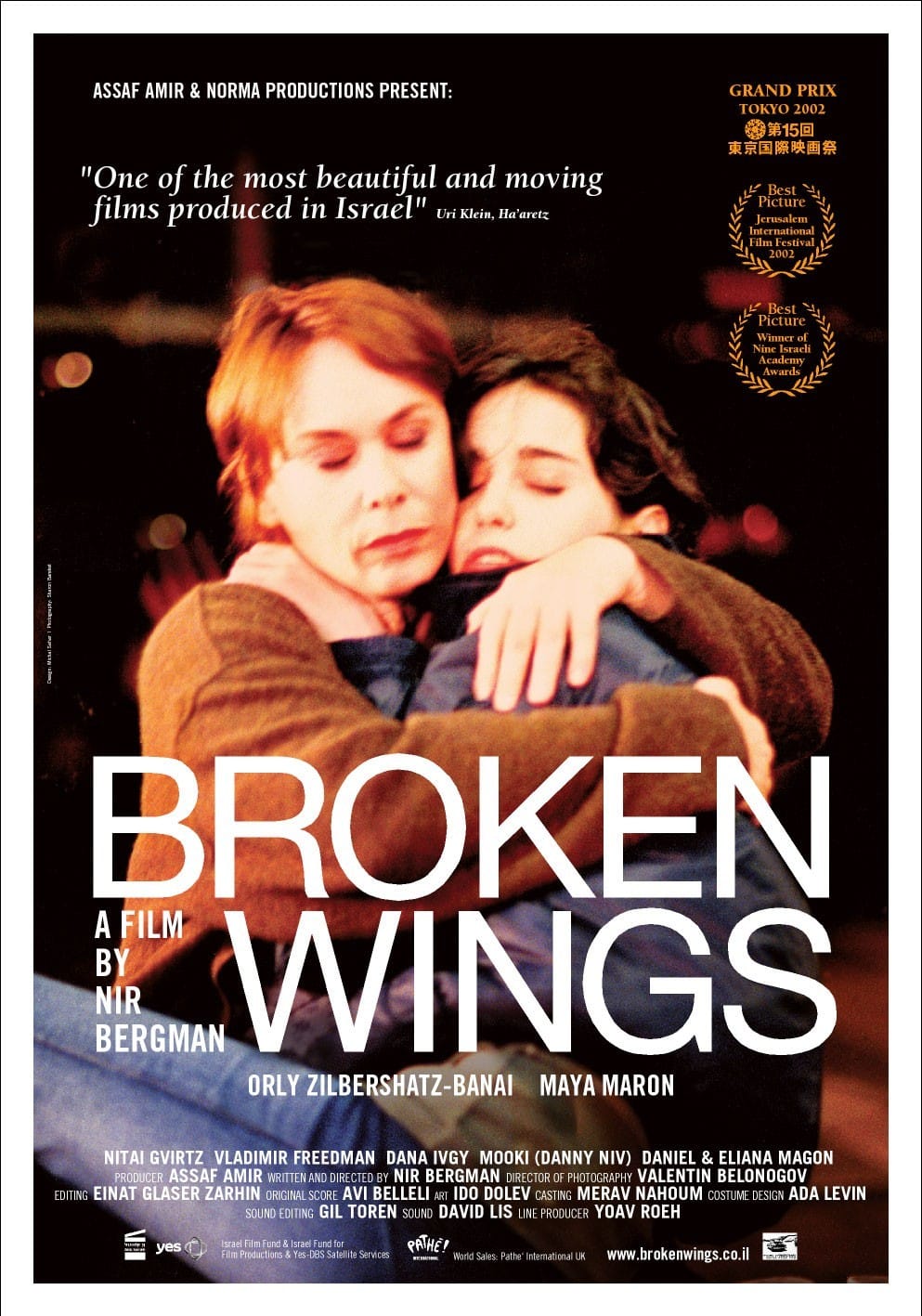 broken_wings_poster